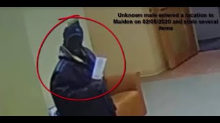 Theft Suspect- Identification Wanted 02/05/2020