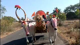 Kiran Tamkhade #maharashtra #india (3)