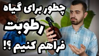 چطور برای گیاه رطوبت هوا فراهم کنیم؟ | اسپری آب برای گیاه خوبه یا بده ؟! | م.رگ گیاه با مهپاشی😭