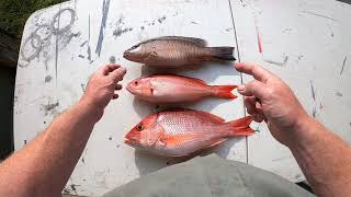 Can I keep this? Red Snapper identification.