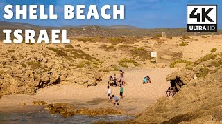 Shell Beach, Habonim, Israel | 4K UHD Relaxing Virtual Walk