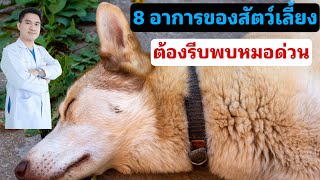 8 อาการที่สัตว์เลี้ยงป่วยควรหาหมอด่วน