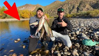 We Found ALL the Trout in the Salt River AZ! (Insane)