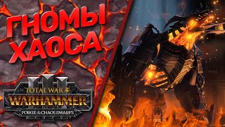 Гномы Хаоса - Total War: Warhammer 3