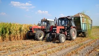 Silózás 2013 (Zetor 16145, Fortschritt E281, T150K, MTZ)