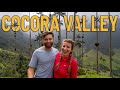 MAGICAL hike in COCORA VALLEY - Salento, Colombia - Quindio (tallest palm trees in the world)