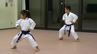 hướng dẫn học 7 bài quyền cơ bản karate do