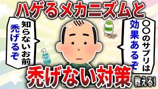 【2ch有益スレ】知らなきゃ損するハゲるメカニズムと禿げない対策・有能アイテム挙げてくｗｗｗ