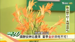 貧血睡不好？鎮靜安神忘憂草「金針」非吃不可！健康2.0