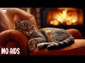 Anti-Anxiety Music For Cat: Relaxing Music to Keep Your Kitty Calm and Happy And Sleep Better 🌼