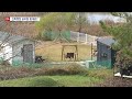 뉴스리포트 그때그때 다른 강릉시 건축행정 221109