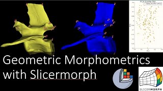 Geometric Morphometrics with Slicermorph