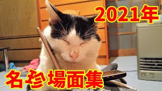 【2021年名珍場面集】今年もお世話になりました！【2021年総集編】