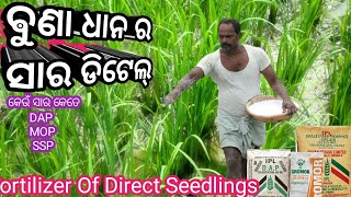 ଵୁଣା ଧାନ ର ସାର ଡିଟେଲ୍// Fortilizer for Direct Seedlings// fortilizer details  paddy cultivation