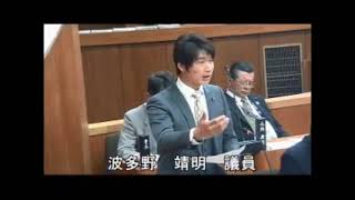 平成30年3月定例会　一般質問　波多野靖明議員