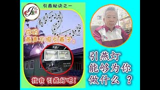 语燕之约-PART 27- 【引燕灯能够为你做什么？】它只是单单引燕子吗？如果您怎么想，那你就错了！