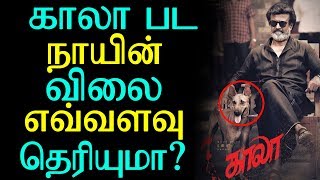 Do you know the price of the Kaala movie dog? | காலா பட நாயின் விலை எவ்வளவு தெரியுமா ?