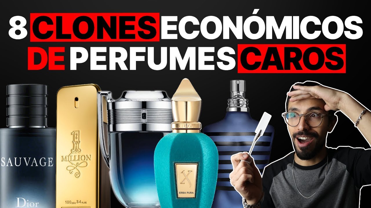 8 Clones E Inspiraciones ECONÓMICOS De PERFUMES Populares CAROS ...