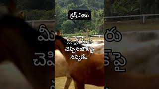 మీ క్రష్ మీరు చెప్పిన జోక్ పై నవ్వితే... #crushfacts, #crush, #fact