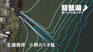 【バス釣り】琵琶湖ポイントガイド、北湖西岸、小野のミオ筋（テスト公開中）