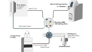 Flash or Prep Analysis on expression Compact Mass Spectrometer