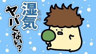 最近、湿気ヤバい