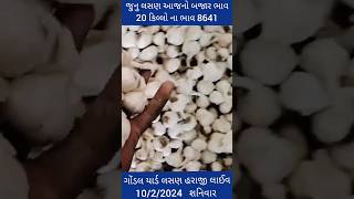 આજના લસણ ના ભાવ ગોંડલ |ગોંડલ લસણ નો ભાવ આજનો | ગોંડલ માર્કેટ યાર્ડ ના ભાવ 10/2/24 #shorts #bajarbhav