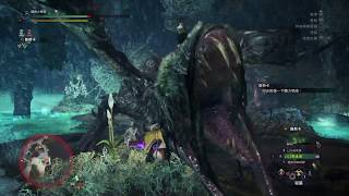 【MHW】魔物獵人世界 冰原Iceborne　重弩貫通三挑戰歷戰霧瘴屍套龍