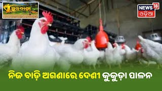 Annadata I ନିଜ ବାଡ଼ି ଅଗଣାରେ ଦେଶୀ କୁକୁଡ଼ା ପାଳନ (Hen Farming)