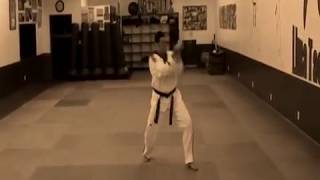 TaeKwonDo Poomsae ILYEO 9 DAN by Master Andre Lima