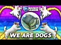 ROCKET LEAGUE, BUT WE'RE ALL DOGS