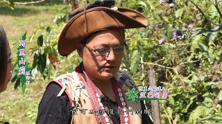 【超級時品】阿里山薊外景採訪