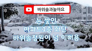 ☃️⛄️눈 내리는 날 바위솔 정원은  어떤 모습일까요? 궁굼하다면 클릭~😄