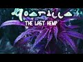 Goarilla vs.  Reqmeq - Sativa