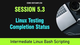 Master Linux Bash Scripting: Session 5.3 - Testing Completion Status