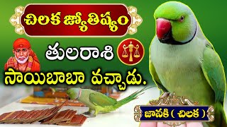 చిలుక జ్యోతిష్యం🦜తులరాశి సాయిబాబా వచ్చాడు | Chilaka Jyothisham | Thula rasi Jyothisham 2022