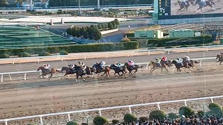 第68回·東京大賞典〜1周回目パドック·本馬場入場〜現地·大井競馬場…