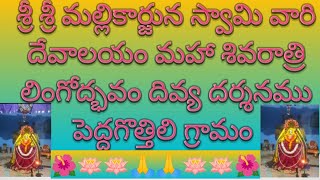 శ్రీ శ్రీ మల్లికార్జున స్వామి, మహా శివరాత్రి లింగోద్భవం దివ్య దర్శనము 2024.