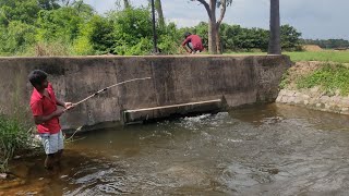 awesome new style hook fishing in fast water | வேகமாக ஓடும் நீரில் தூண்டில் வைத்து மீன் பிடித்தல் |