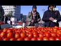 tomato sellers at taimani square kabul بادنجان رومی فروشان چهارراهی تایمنی، کابل