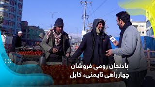 Tomato Sellers at Taimani Square, Kabul / بادنجان رومی فروشان چهارراهی تایمنی، کابل