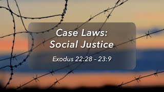 Case Laws: Social Justice, Part 5