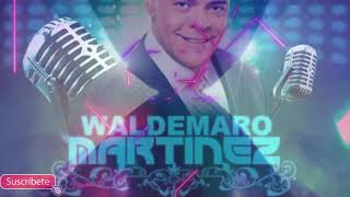 PRESENTACION WALDEMARO Y  MIKE CHAR