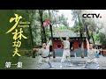 《少林功夫》第一集 天下功夫出少林 看完就明白少林功夫为何厉害！【CCTV纪录】