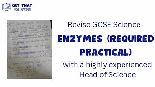 Enzymes Required Practical, GCSE Science