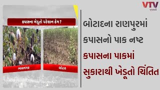 Bhavnagar News: ભાવનગર જિલ્લામાં અતિભારે વરસાદને લઇ ખેડૂતોના પાકને મોટાભાયે નુકસાન I VTV GUJARATI