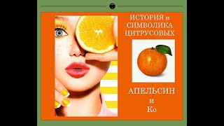 ИСТОРИЯ АПЕЛЬСИНА и МАНДАРИНА. СИМВОЛИКА В РАБОТАХ ХУДОЖНИКОВ