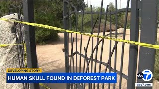 Human skull found during Easter egg hunt at SoCal park, police confirm