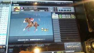 【サイロ餌の力】第0.2回【スターホース3】母馬の条件戦 【スタホ3】