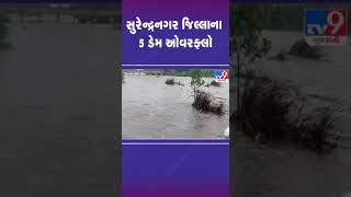 સુરેન્દ્રનગર જિલ્લાના 5 ડેમ ઓવરફ્લો | #surendranagar #gujarat #shorts